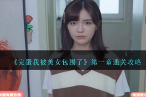 完蛋我被美女包围了第一章怎么过
