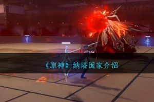 原神纳塔是哪个国家