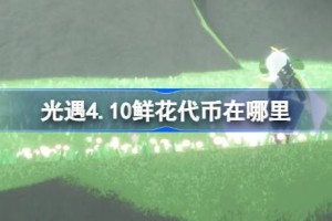 光遇4.10鲜花代币在哪里