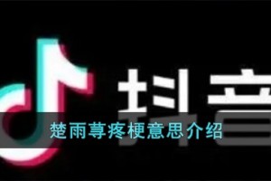 楚雨荨疼是什么意思