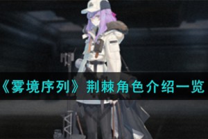 雾境序列荆棘角色怎么样