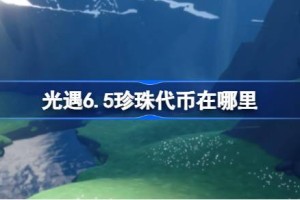 光遇6.5珍珠代币在哪里