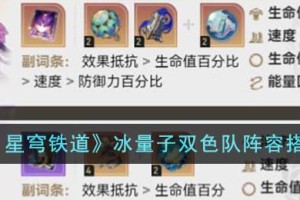 崩坏星穹铁道冰量子双色队阵容怎么搭配