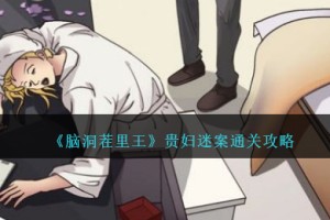脑洞茬里王贵妇迷案怎么过