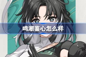 鸣潮鉴心怎么样