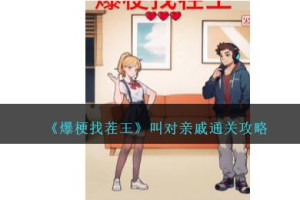 爆梗找茬王叫对亲戚怎么过
