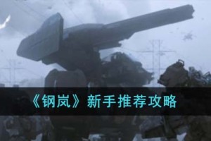 钢岚新手推荐怎么玩