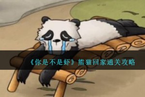 你是不是虾熊猫回家怎么过