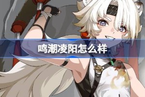 鸣潮凌阳怎么样